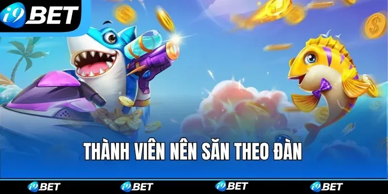 Thành viên nên săn theo đàn